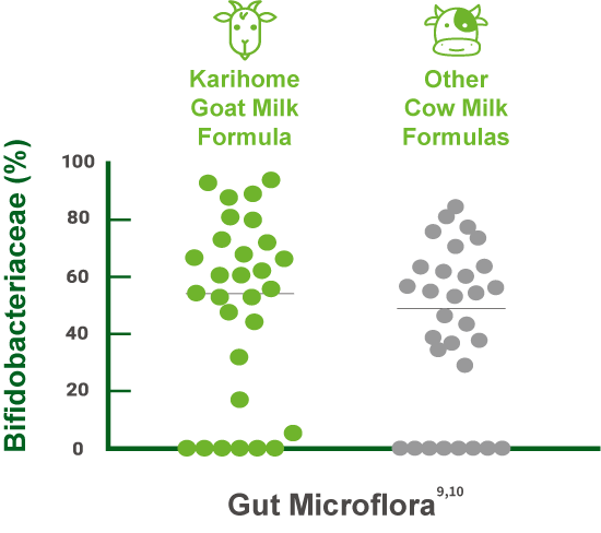 Gut Microflora