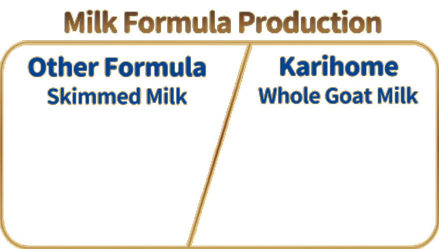 Milk Formula Production