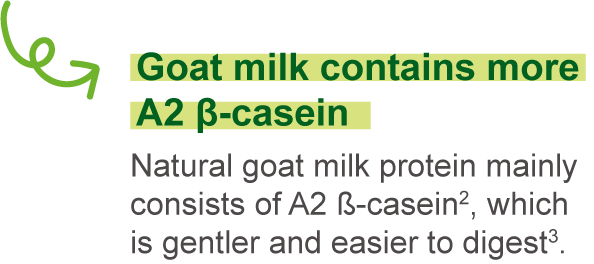 Goat milk contains more A2-type β-casein.